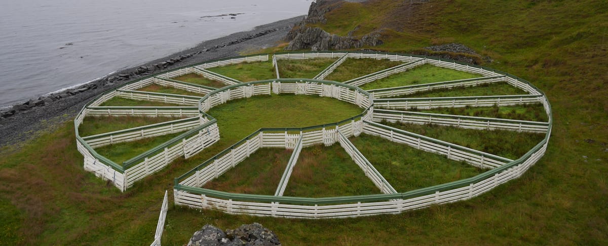 La dominance de la médecine