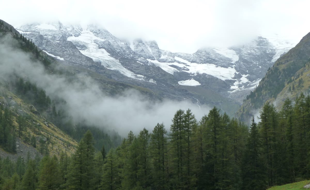 La médicalisation du désir d’enfant