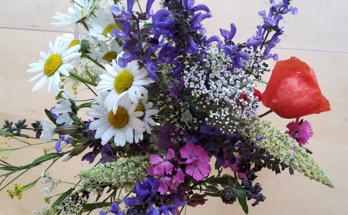 Les mères désenfantées