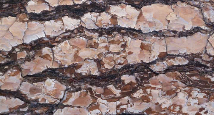 Ce que j’aurais aimé savoir