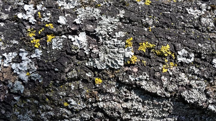 Les dons du temps qui passe