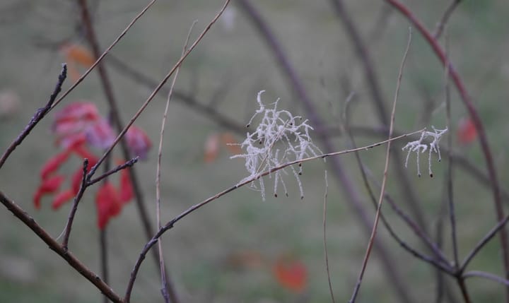 Musique de deuil et de consolation